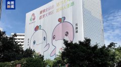 十五运会海采来了 街头巷尾感